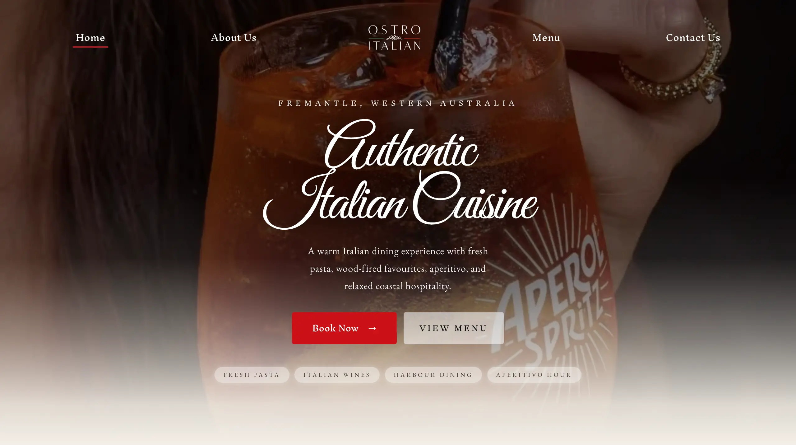 Ostro Italian Website screenshot 1