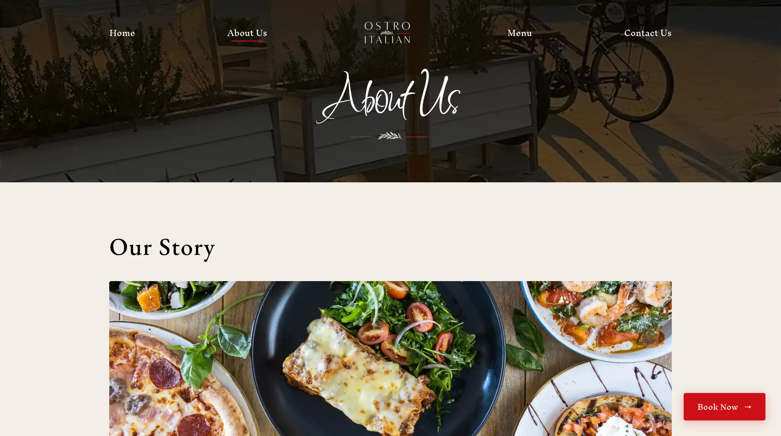 Ostro Italian Website screenshot 7