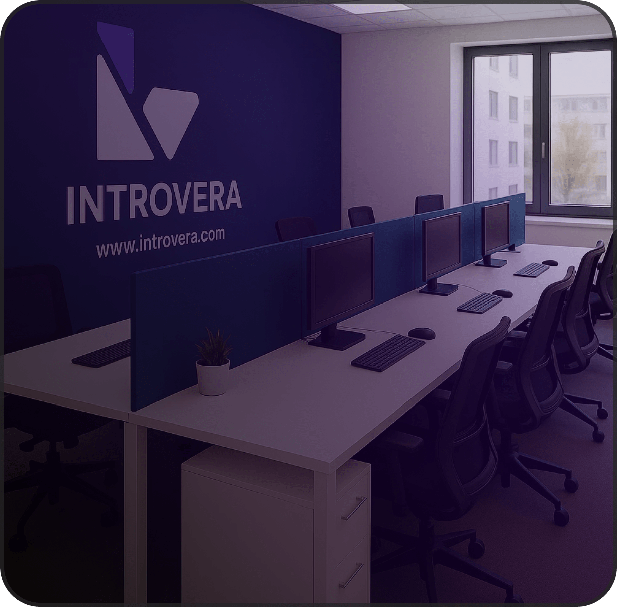 CONSULTING & STRATEGY